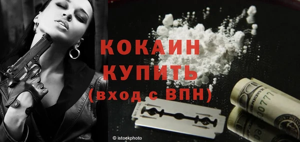 СК Гусь-Хрустальный