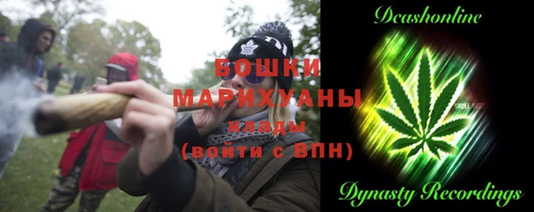 МДПВ Дмитровск