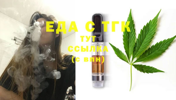 СК Гусь-Хрустальный