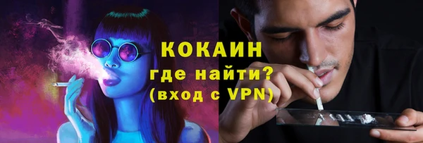 амф Гусиноозёрск