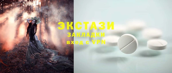 амф Гусиноозёрск