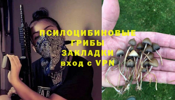 соль курить ск Дмитриев