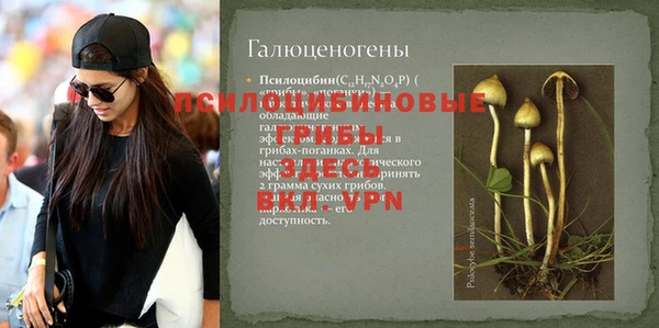 МДПВ Дмитровск