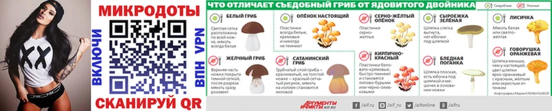 Галлюциногенные грибы MAGIC MUSHROOMS  omg как зайти  Мамадыш 